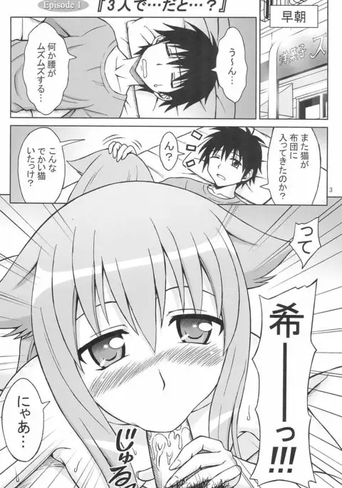 Nyan...da to...?