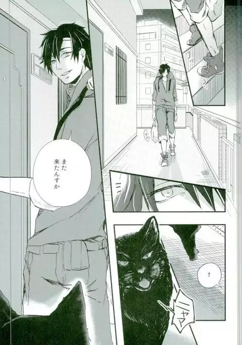 ウソツキネコ