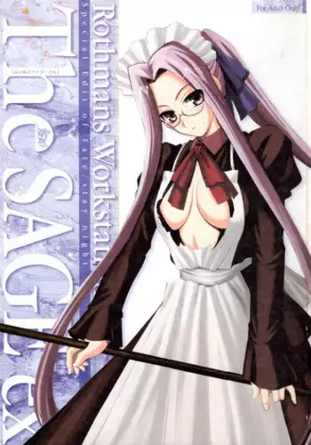 (C71) [R-WORKS (ROS)] The SAGE ex Yoru Nuki Rider-san (Fate/stay night)