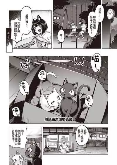 Oshikake Nyanko | 不请自来的小猫