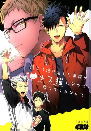 (HaruCC20) [Diego (Mano)] Shinjite Okuridashita Kuroo ga Mesuneko ni Natte Modottekuru nante (Haikyuu!!)