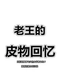 Skin recollection（潜水员汉化）
