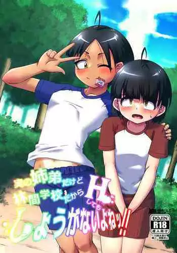 Jitsu no Kyoudai Dakedo Rinkan Gakkou Dakara H Shite mo Shouganai Yo Nee